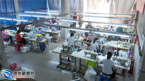 昭平縣 多措并舉優化企業服務，全力推動民營經濟跑出發展“加速度”