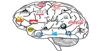上海品牌策劃公司 從“你是誰(shuí)”到“你想處于什么位置”——品牌戰(zhàn)略與市場(chǎng)營(yíng)銷策劃的核心路徑